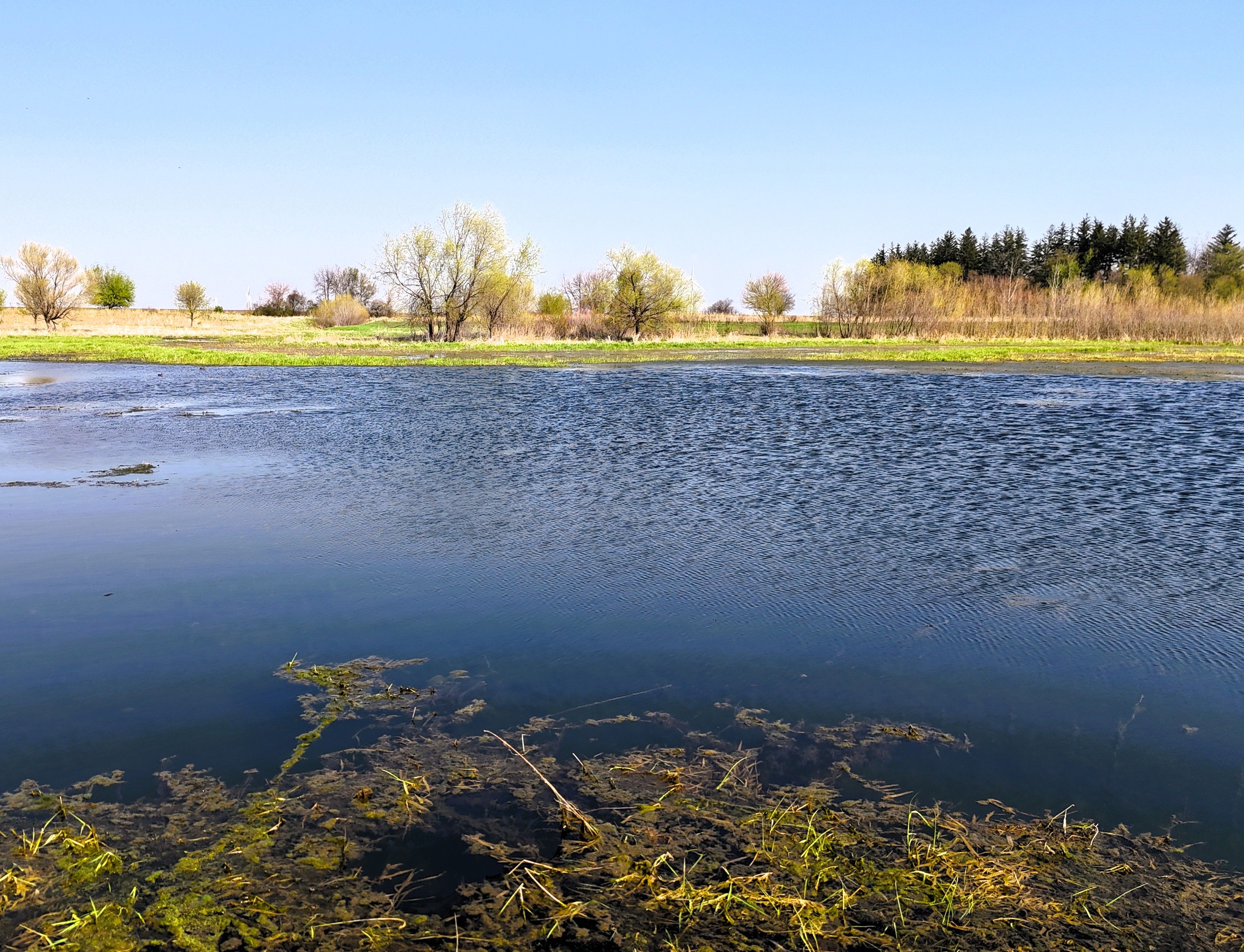 Listing Photo: Pond 6